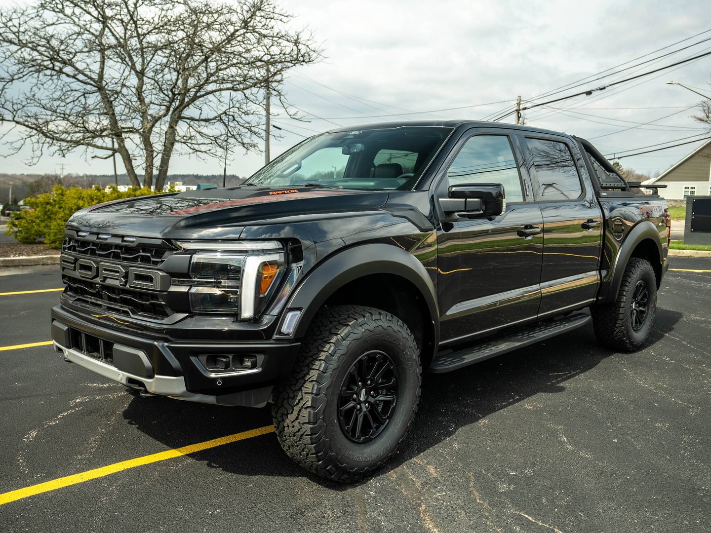 Ford F-150 Raptor #312